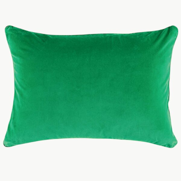 Pyntepute Eurydice Coriandre