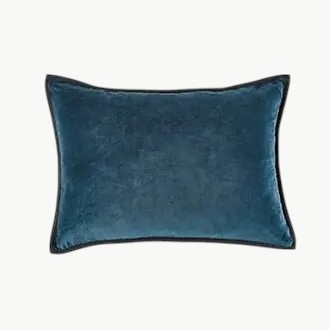 Pyntepute Orphee Roi Du Petrol