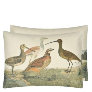 John Derian Birds of a Feather Parchment Pute 60x45