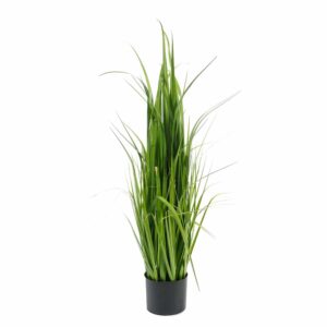Mr. Plant Gressplante 110cm