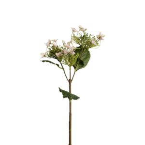 Mr. Plant Hortensia Rosa 60cm