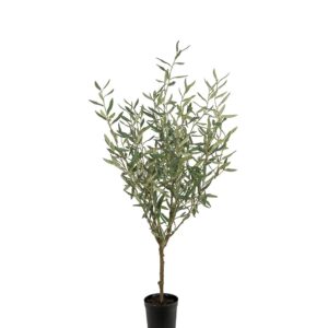 Mr. Plant Oliventre 130 cm