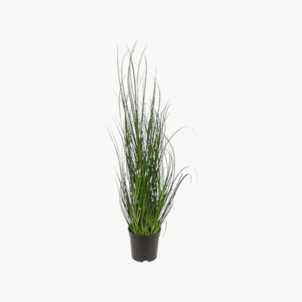 Gressplante Grønn – 70 cm