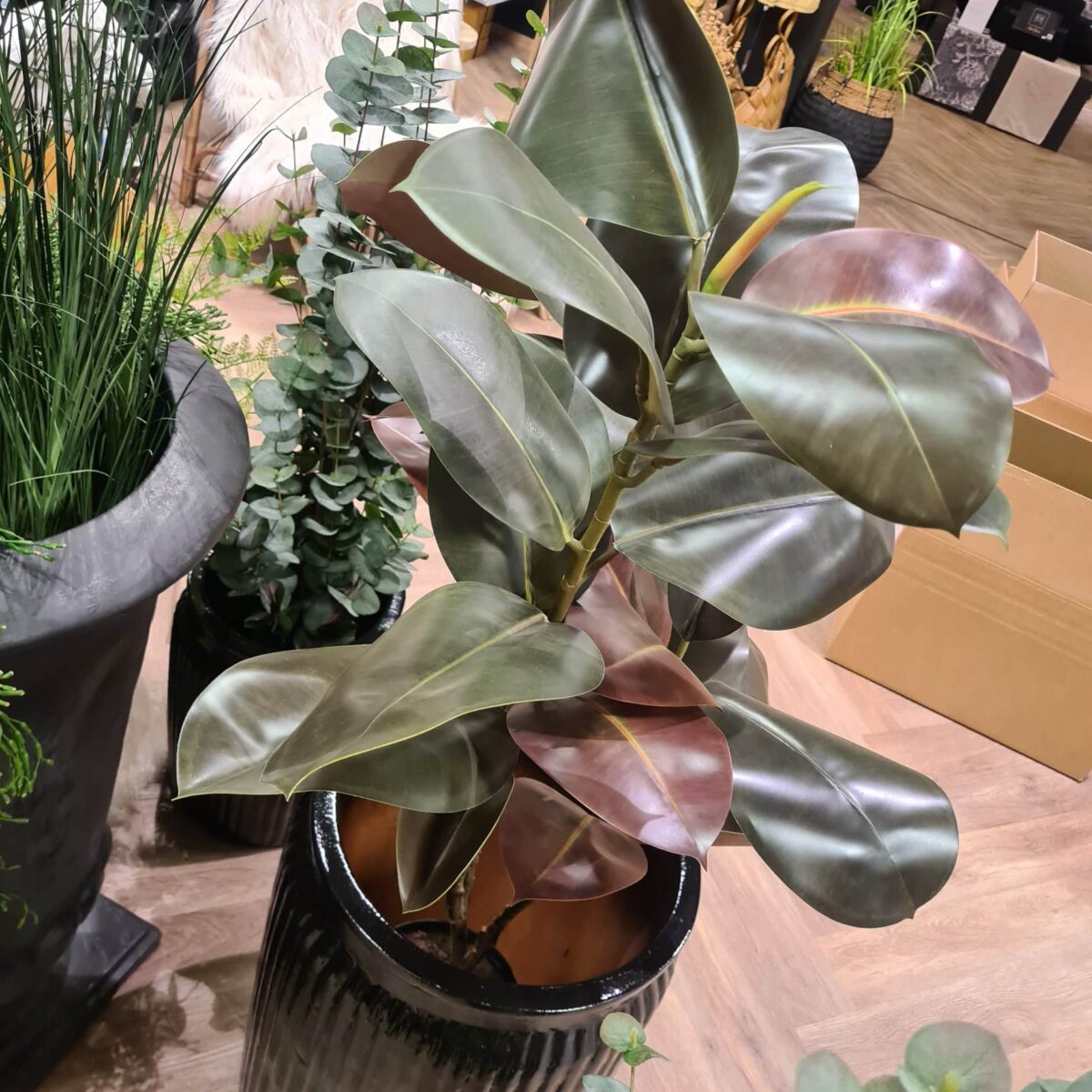 Kunstig Fikus Elastica Grønn 120 cm