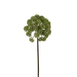 Mr. Plant Angelica 95 cm