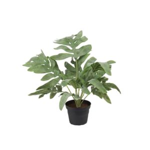 Mr. Plant Ormbunke Potte 30 cm - Bilde 1