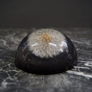Dandelion Papirvekt - Half Round