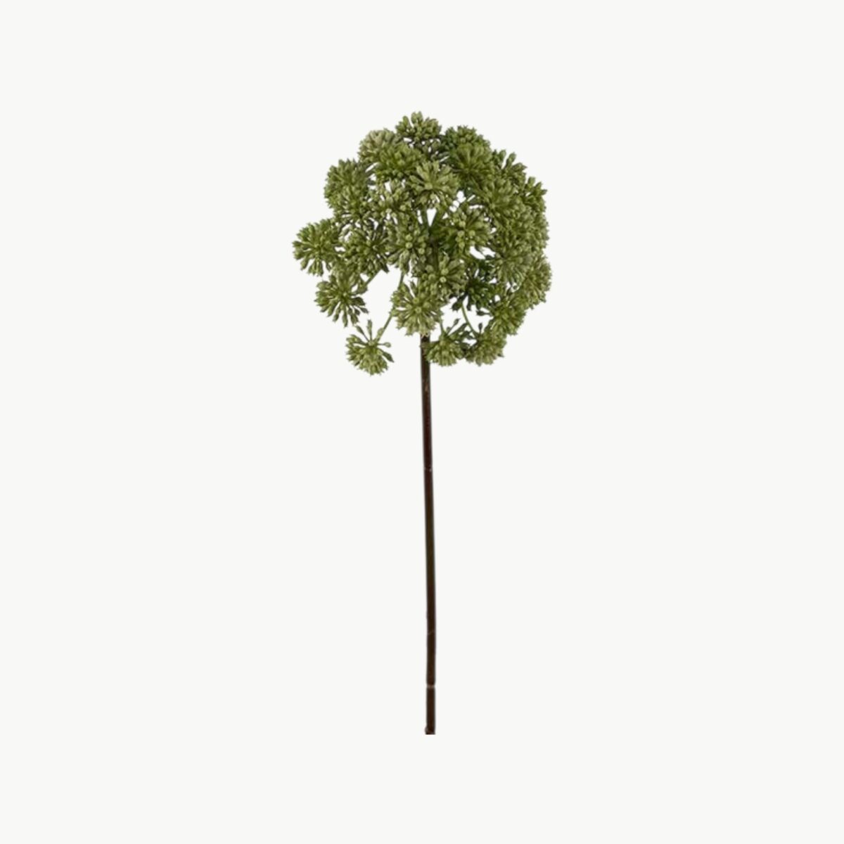 Angelica Grønn – 95 cm