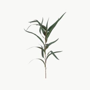 Eucalyptus Grønn – 60 cm