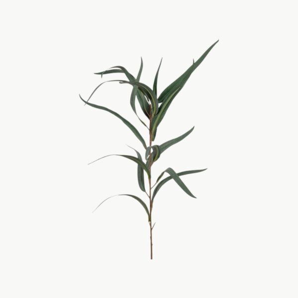 Eucalyptus Grønn – 60 cm