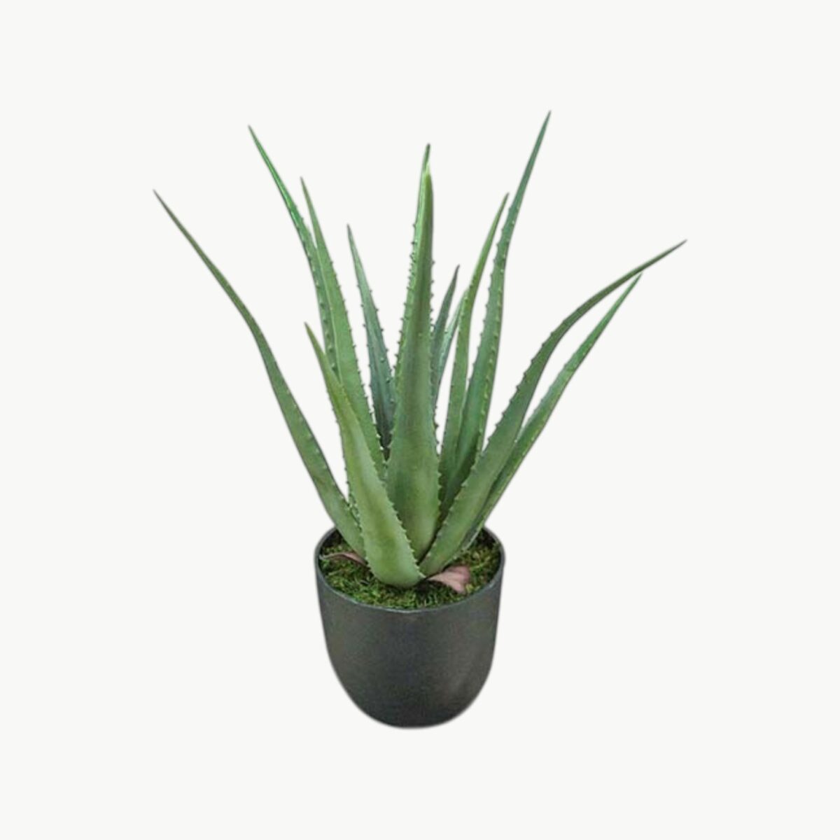Kunstig Aloe Grønn 55 cm
