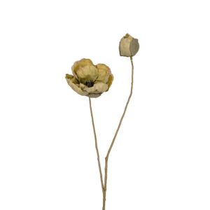 Mr. Plant Valmue 55 cm