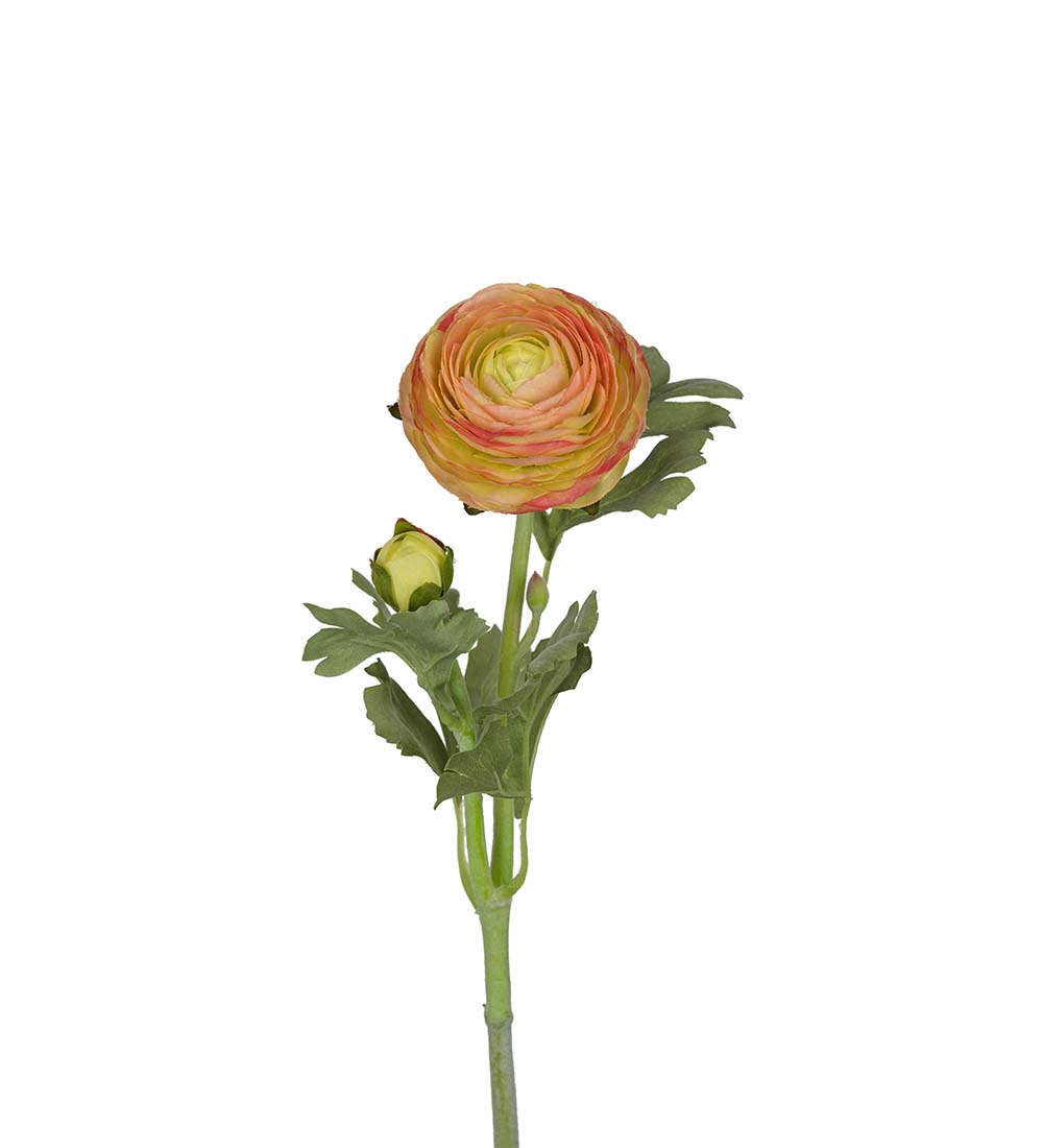 Mr. Plant Ranuncel Orange 50 cm - Bilde 1