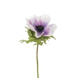 Mr. Plant Anemon Blue 43 cm