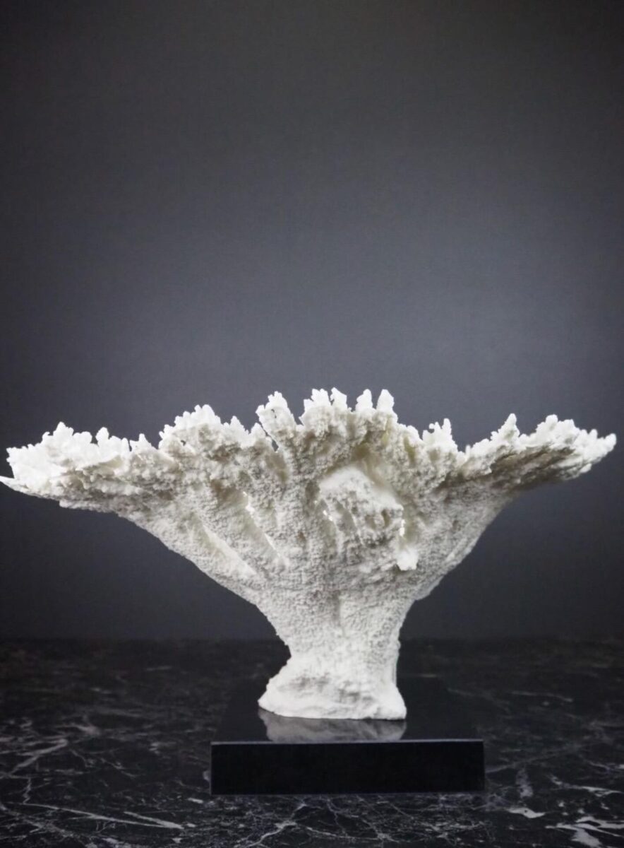 Filipiniana Calypso Coral Dekor Hvit 41 cm