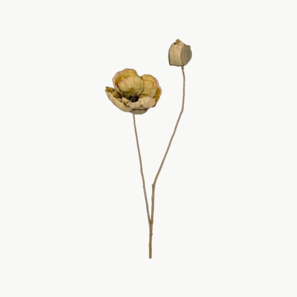 Valmue Grønn – 55 cm
