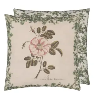John Derian La Rose Pute 50x50
