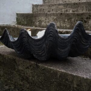 Puerto Galera Clam Shell Aged Black