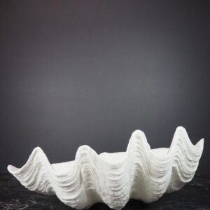 Puerto Galera Clam Shell White