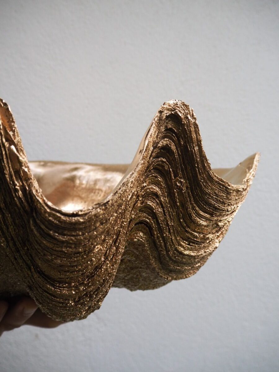 Puerto Galera Clam Shell Gold