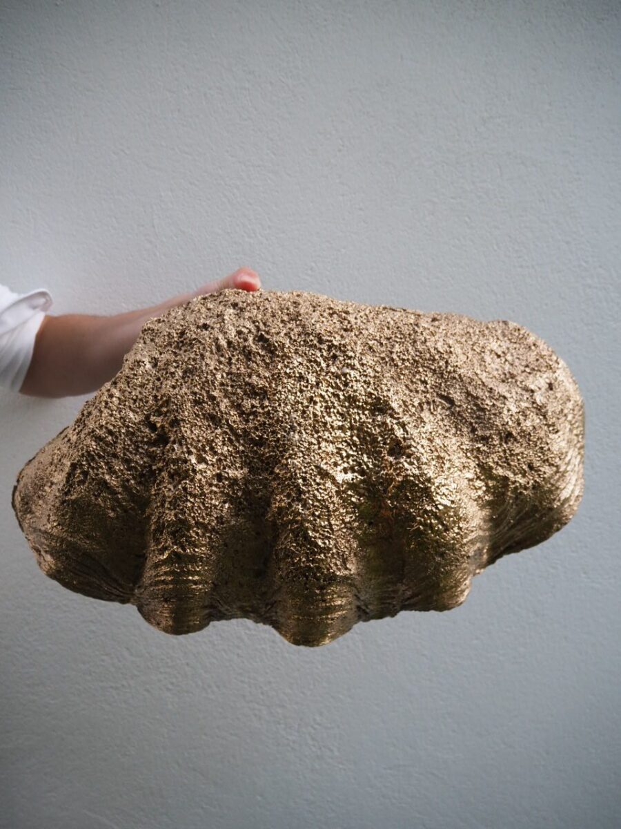 Puerto Galera Clam Shell Gold