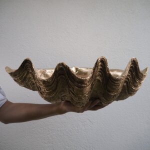 Puerto Galera Clam Shell Gold