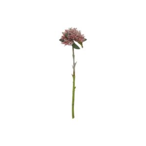 Blomsterstilk Bordeaux 47cm
