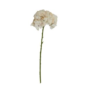 Hortensia Stilk Hvit 65cm