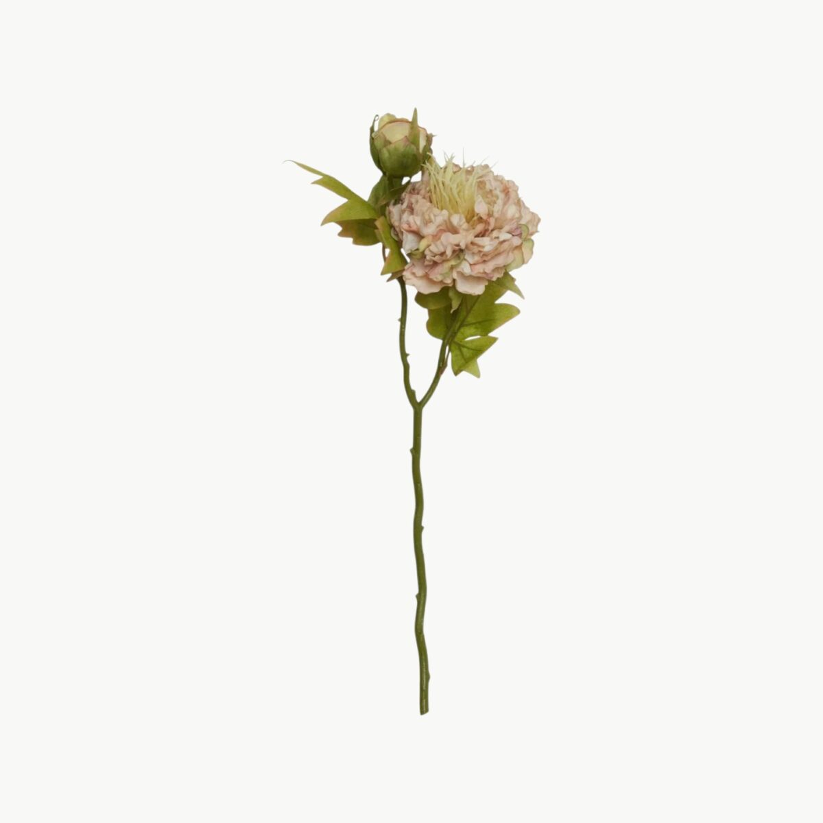 Peon Stilk Rosa – 48 cm
