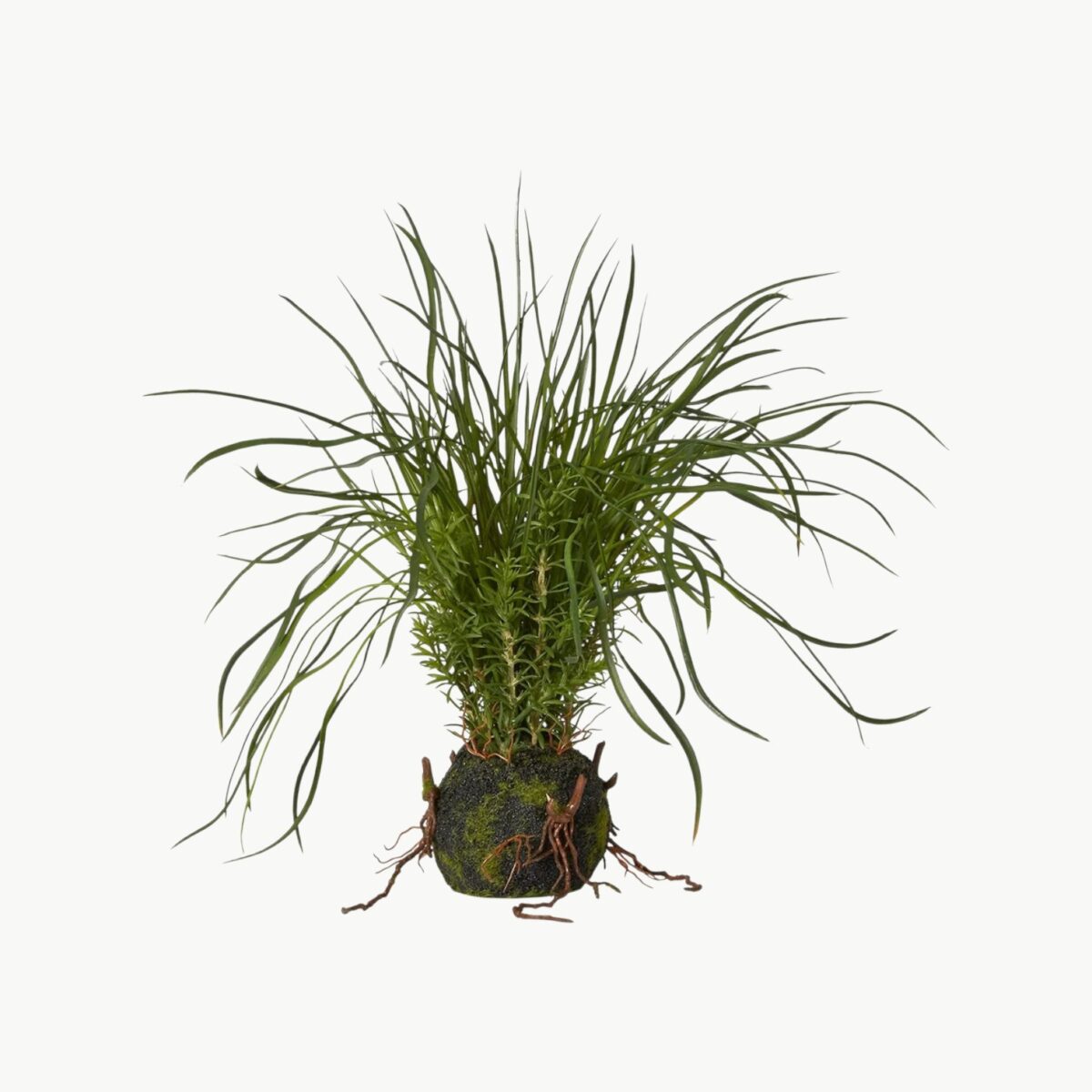 Gressplante m/rot Grønn – 36 cm