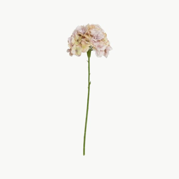 Hortensia Stilk Rosa – 65 cm