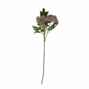 Hortensia Dusty Purple 65cm