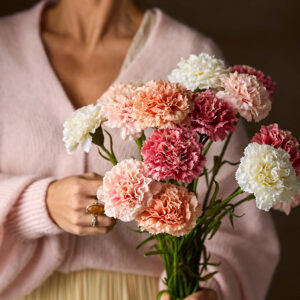 Nellik Rosa 44 cm - Bilde 2