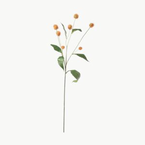 Tistel i rosa farge med flere blomsterhoder på stilk, 58 cm høy