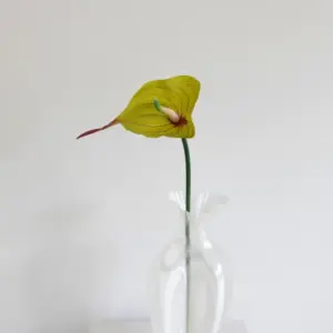 Oppdag Objects Bloom sine kunstige blomster. 3D printet med fokus på bærekraftige materialer. Nydelig og naturtro grønn/rød Anthurium 50cm