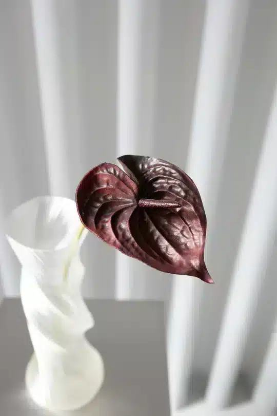 Bloom Objects - Kunstig Rød Anthurium Bordeaux 57cm - Bilde 2