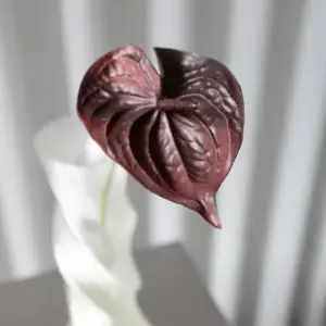 Bloom Objects - Kunstig Rød Anthurium Bordeaux 57cm - Bilde 3