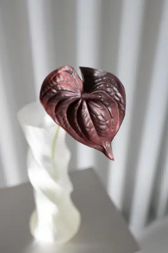 Bloom Objects - Kunstig Rød Anthurium Bordeaux 57cm - Bilde 3