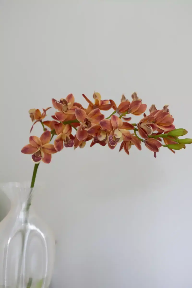 Bloom Objects - Nydelig kunstig oransje Cymbidium. Kunstig blomst - 81cm