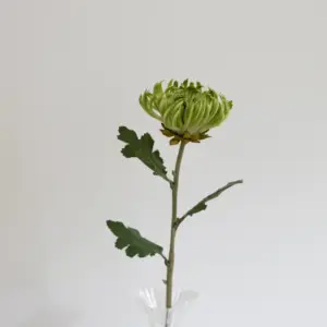 Oppdag Objects Bloom sine kunstige blomster. 3D printet med fokus på bærekraftige materialer. Nydelig og naturtro grønn Kaktus Dahlia 60cm