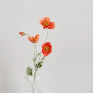 Oppdag Objects Bloom sine kunstige blomster. 3D printet med fokus på bærekraftige materialer. Nydelig og naturtro Rød Valmue 60cm