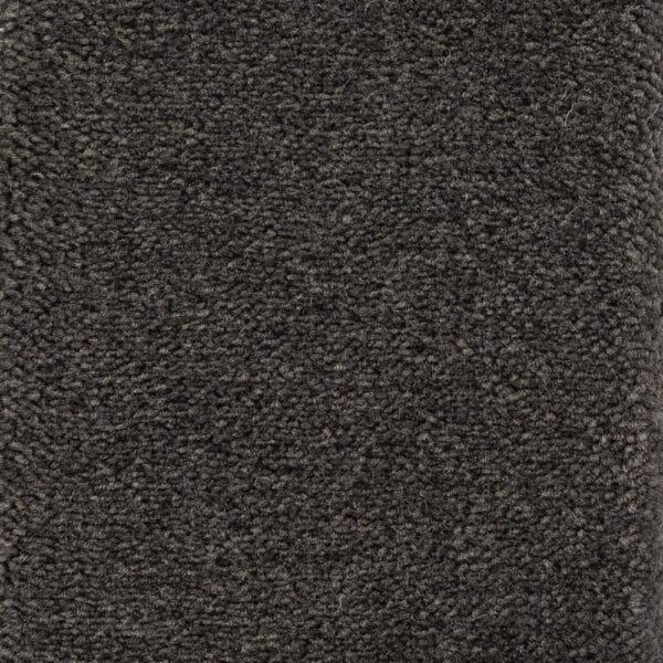 Golvabia Astoria Accent Dark