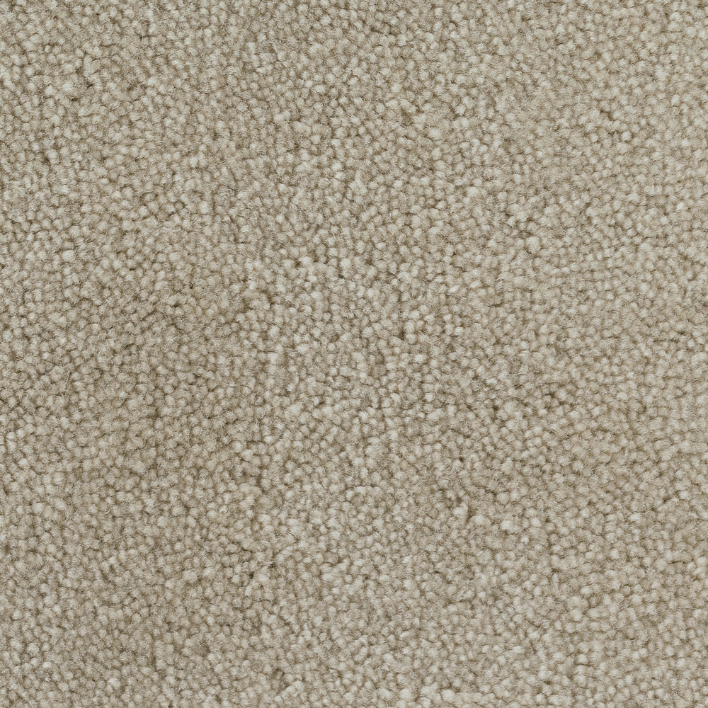 Golvabia Mondo Wheat