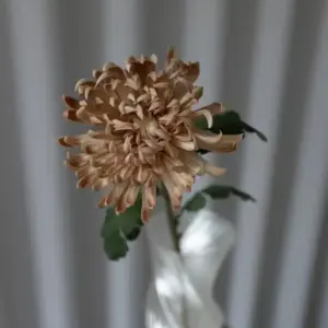 Kunstig kaktus dahlia i beige fra Bloom Objects.