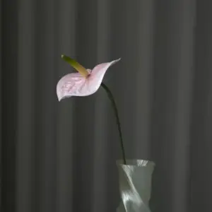 Kunstig Anthurium i rosa fra Bloom Objects.