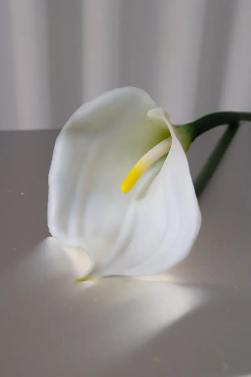 Kunstig Calla Lily i hvitt fra Bloom Objects. 66 cm høy, naturtro og elegant.