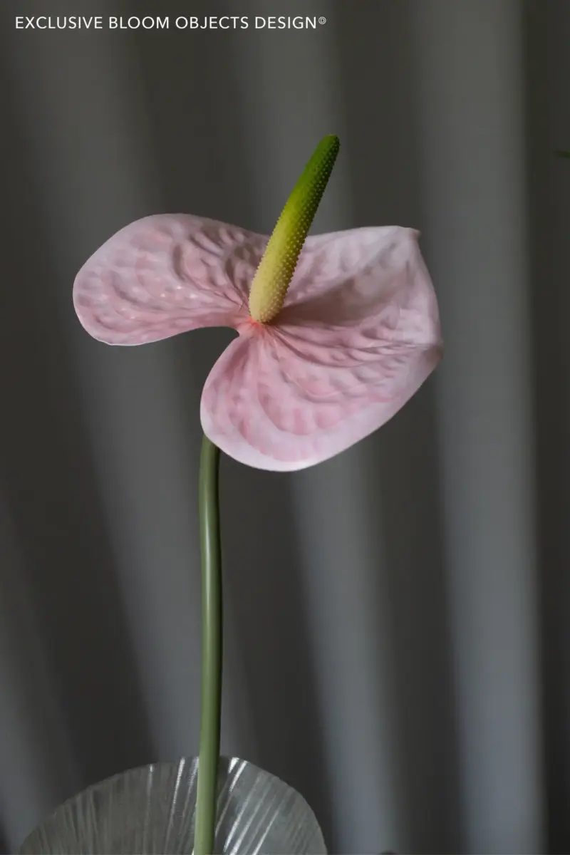 Kunstig Anthurium Rosa 69 cm – Naturtro Stilblomst fra Bloom Objects