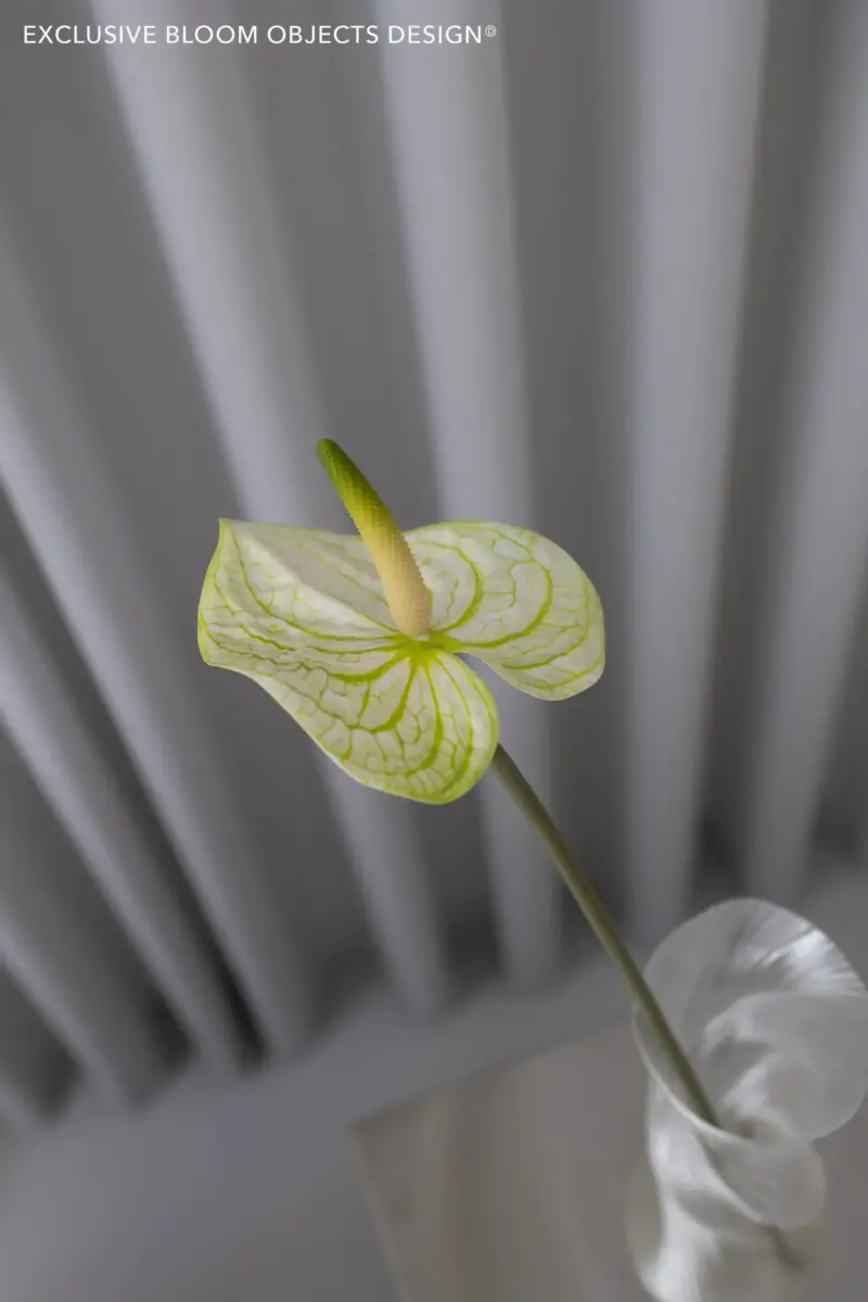 Kunstig Anthurium Hvit 69 cm