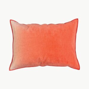 Fortune Hibiscus - Bilde 1