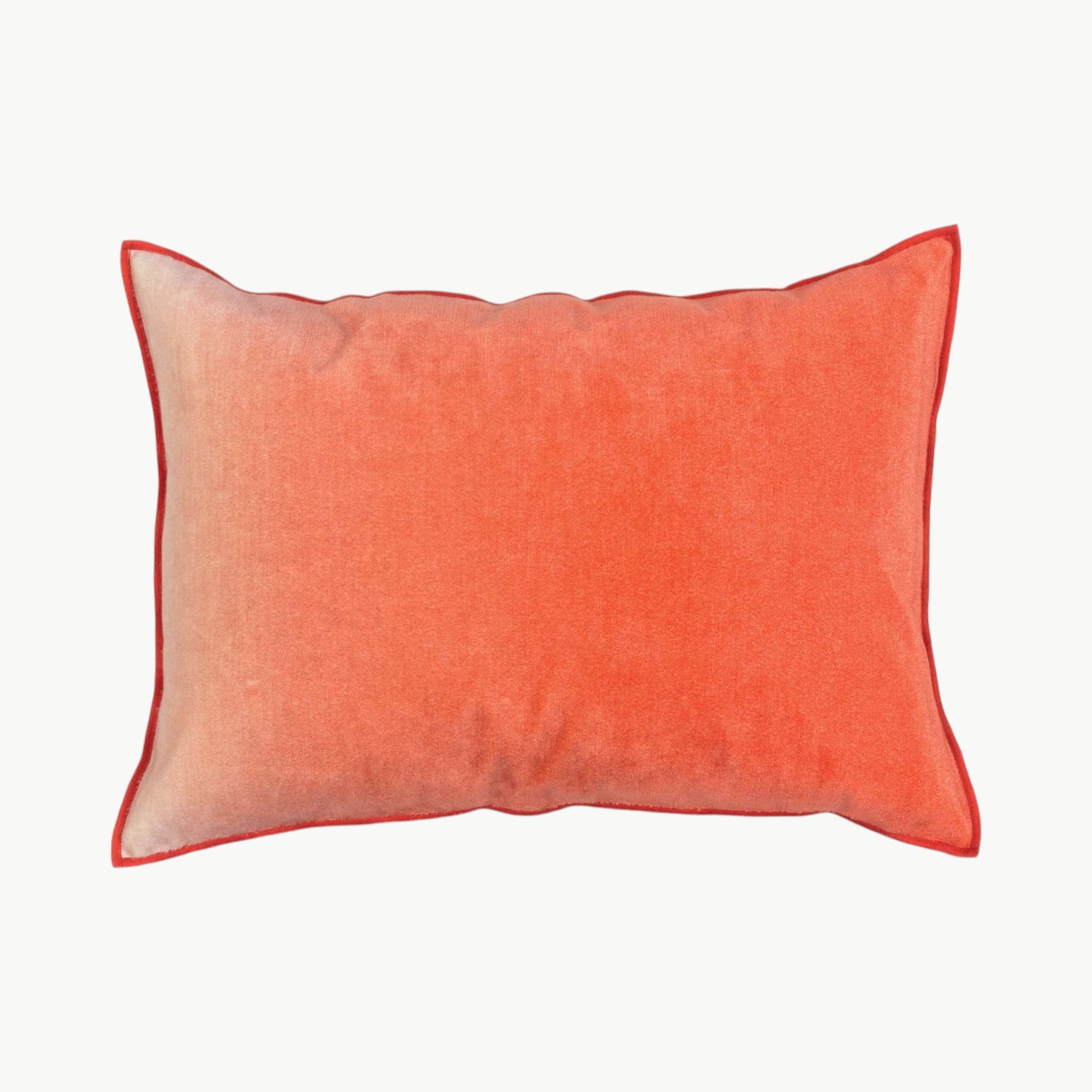 Fortune Hibiscus - Bilde 1